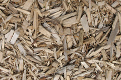 biomass boilers Glanmule